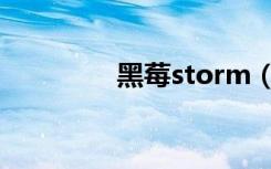 黑莓storm（黑莓storm）