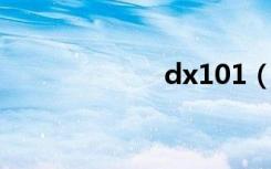 dx101（dx10 1）