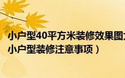 小户型40平方米装修效果图大全（40平米小户型装修效果图小户型装修注意事项）