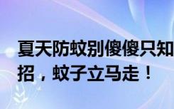 夏天防蚊别傻傻只知道蚊帐了，有这6个小妙招，蚊子立马走！