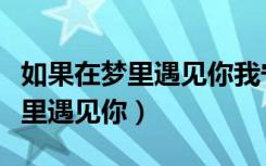 如果在梦里遇见你我宁可不再醒来（如果在梦里遇见你）