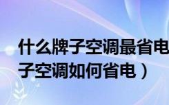 什么牌子空调最省电?（最省电空调有什么牌子空调如何省电）