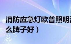 消防应急灯欧普照明测评（消防应急照明灯什么牌子好）