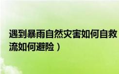 遇到暴雨自然灾害如何自救（暴雨天如何逃生自救遇到泥石流如何避险）