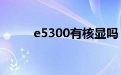 e5300有核显吗（e5300怎么样）