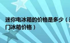 迷你电冰箱的价格是多少（迷你小冰箱的价格是多少家用双门冰箱价格）