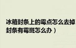 冰箱封条上的霉点怎么去掉（冰箱门封条吸不住怎么办冰箱封条有霉斑怎么办）