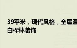 39平米，现代风格，全屋温馨舒适，有一种现代的美感！-白桦林装饰