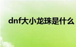 dnf大小龙珠是什么（dnf大小龙珠介绍）