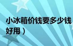 小冰箱价钱要多少钱（小冰箱哪一个型号比较好用）