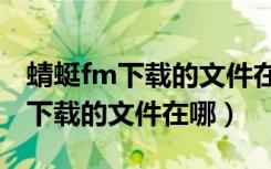 蜻蜓fm下载的文件在哪个文件夹里（蜻蜓fm下载的文件在哪）