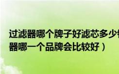 过滤器哪个牌子好滤芯多少钱一个（过滤器多少钱一个过滤器哪一个品牌会比较好）