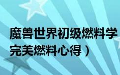 魔兽世界初级燃料学（《魔兽世界》魔兽世界完美燃料心得）