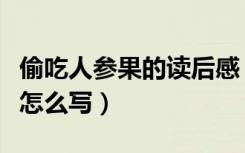 偷吃人参果的读后感（《偷吃人参果》读后感怎么写）