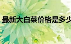 最新大白菜价格是多少（大白菜多少钱一斤）