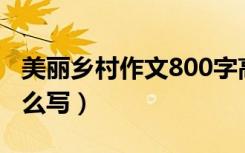 美丽乡村作文800字高中生（美丽乡村作文怎么写）