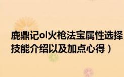 鹿鼎记ol火枪法宝属性选择（《鹿鼎记》火枪手1至30级的技能介绍以及加点心得）