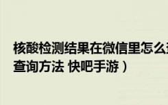 核酸检测结果在微信里怎么查询（核酸检测结果在微信上的查询方法 快吧手游）