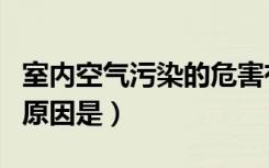 室内空气污染的危害有哪些（室内空气污染的原因是）