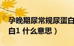 孕晚期尿常规尿蛋白1+什么意思（孕期尿蛋白1 什么意思）