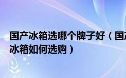 国产冰箱选哪个牌子好（国产家用冰箱那个牌子好国产家用冰箱如何选购）