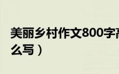 美丽乡村作文800字高中生（美丽乡村作文怎么写）