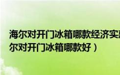 海尔对开门冰箱哪款经济实惠（海尔对开门冰箱价格以及海尔对开门冰箱哪款好）