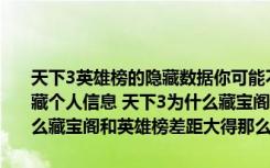 天下3英雄榜的隐藏数据你可能不知道或不清楚（天下三英雄榜怎么隐藏个人信息 天下3为什么藏宝阁和英雄榜差距大得那么恐怖 天下3为什么藏宝阁和英雄榜差距大得那么恐怖）