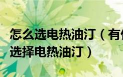 怎么选电热油汀（有什么推荐的电热油汀如何选择电热油汀）