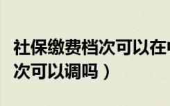 社保缴费档次可以在中途调整吗（社保缴费档次可以调吗）