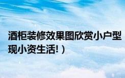 酒柜装修效果图欣赏小户型（酒柜装修效果图,让你从家装体现小资生活!）