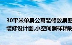 30平米单身公寓装修效果图 小户型（30平小户型单身公寓装修设计图,小空间照样精彩!）