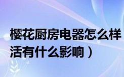 樱花厨房电器怎么样（樱花厨卫电器对人们生活有什么影响）