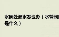 水阀处漏水怎么办（水管阀门漏水怎么办水管漏水解决方法是什么）