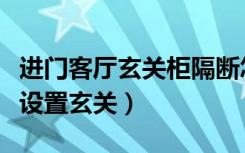 进门客厅玄关柜隔断怎么设计（客厅为什么要设置玄关）