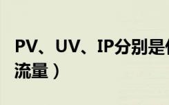 PV、UV、IP分别是什么意思（怎么增加网站流量）