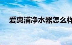 爱惠浦净水器怎么样（保养方法知多少）