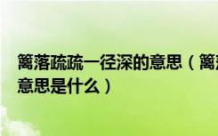 篱落疏疏一径深的意思（篱落疏疏一径深树头新绿未成荫的意思是什么）