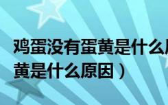 鸡蛋没有蛋黄是什么原因能吃吗（鸡蛋没有蛋黄是什么原因）