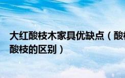 大红酸枝木家具优缺点（酸枝红木家具的优点红酸枝与大红酸枝的区别）