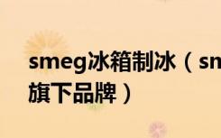 smeg冰箱制冰（smeg冰箱怎么样smeg的旗下品牌）