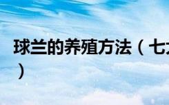 球兰的养殖方法（七大技巧教你正确养护球兰）