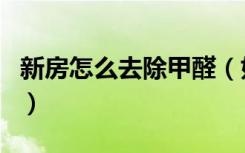 新房怎么去除甲醛（如何检测室内空气才准确）