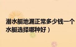 潜水艇地漏正常多少钱一个（地漏潜水艇多少钱一个地漏潜水艇选择哪种好）