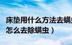 床垫用什么方法去螨虫（床垫怎么除螨生活中怎么去除螨虫）