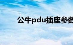 公牛pdu插座参数（公牛pdu插座）