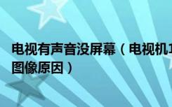 电视有声音没屏幕（电视机10大品牌排行榜电视机有声音无图像原因）