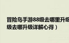 冒险岛手游88级去哪里升级（《冒险岛online》冒险岛90级去哪升级详解心得）