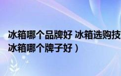 冰箱哪个品牌好 冰箱选购技巧（家用冰箱买什么样的好家用冰箱哪个牌子好）