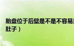 胎盘位于后壁是不是不容易显怀（胎盘位于后壁是不是不显肚子）